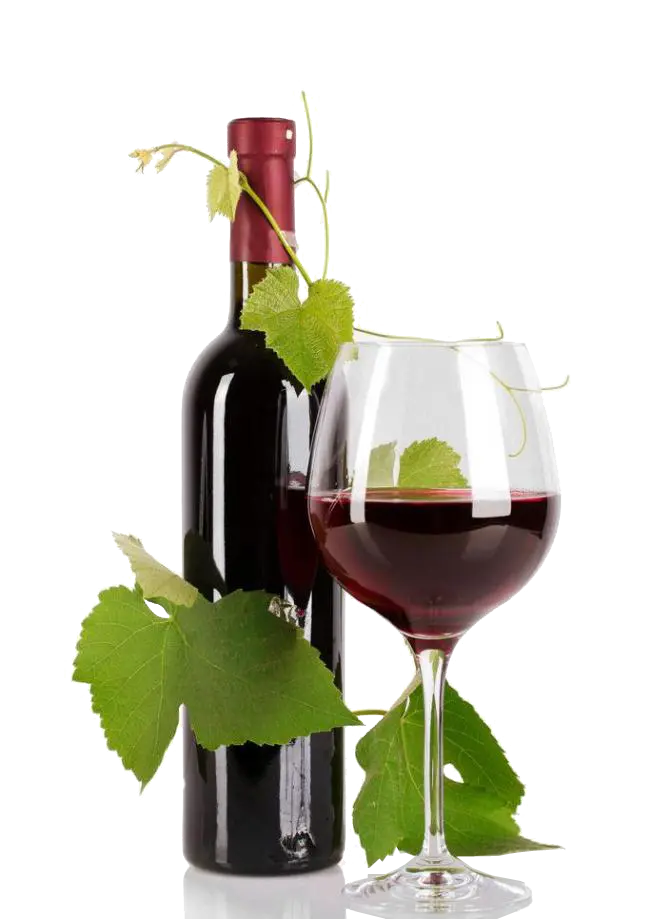 pastry-collection-04